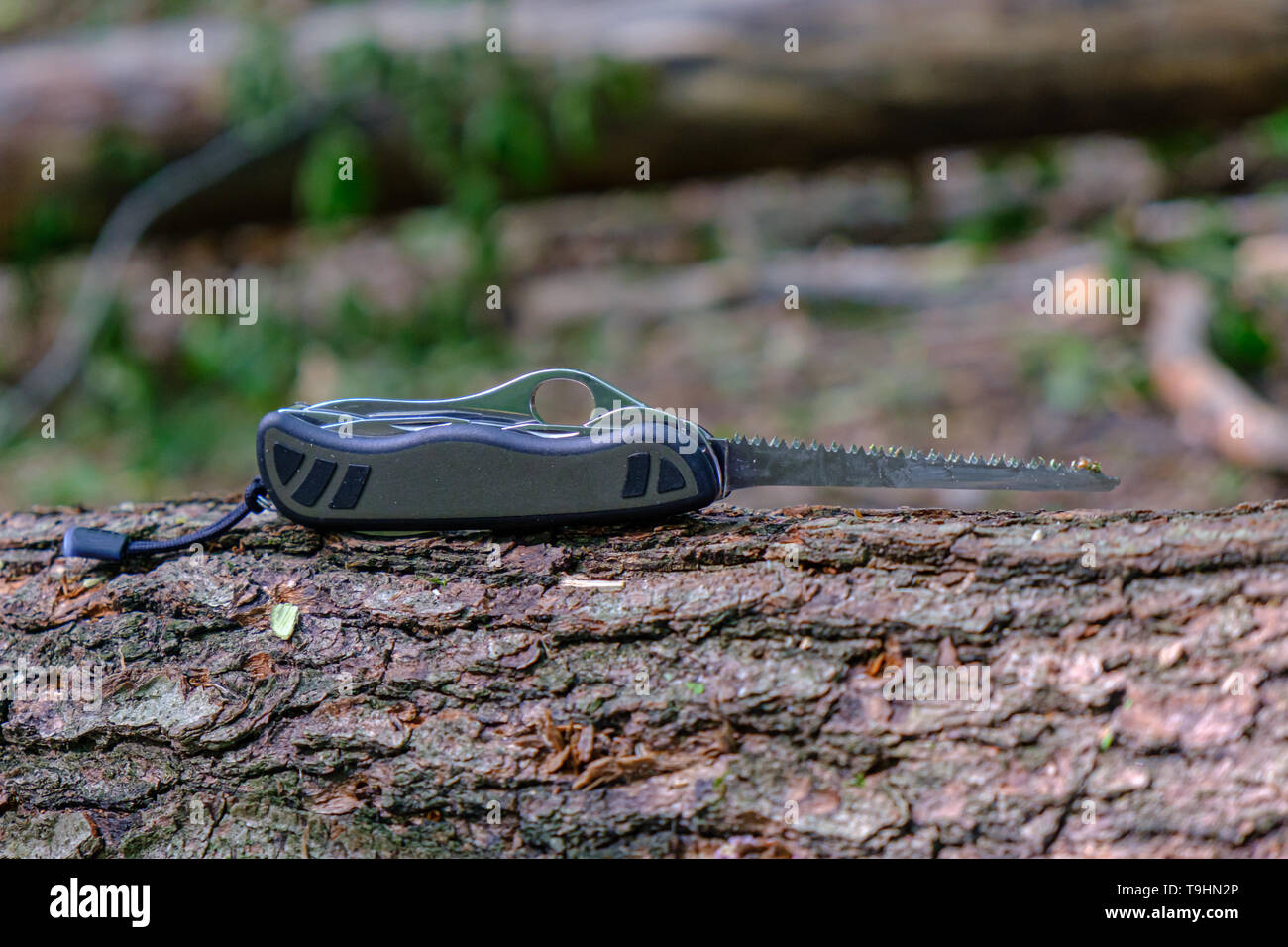 Couteau du soldat suisse, standard de l'armée modèle avec lame de scie étendu sur le tronc de l'arbre dans la forêt Banque D'Images