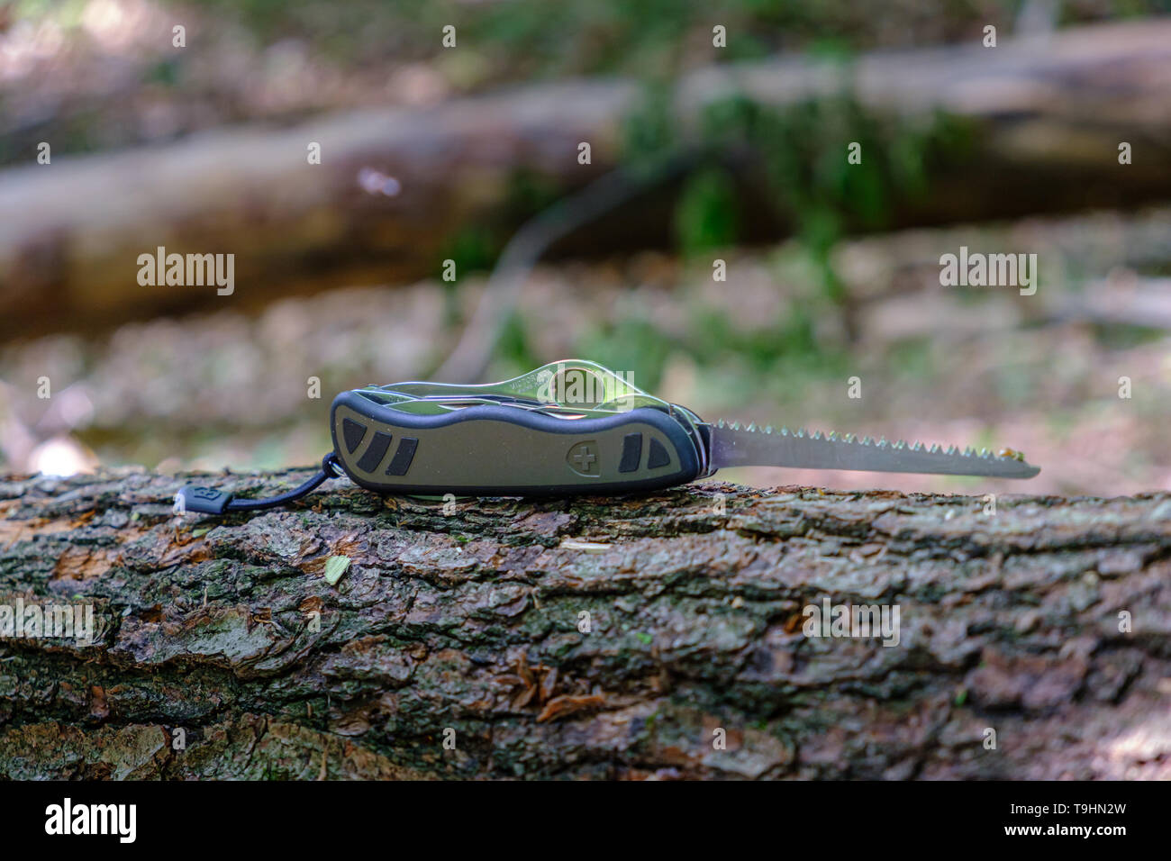 Maribor, Slovénie - 18 mai 2019 : Couteau suisse Victorinox Modèle 08 du soldat de l'armée standard, modèle avec lame de scie étendu sur tronc d'arbre dans la forêt, Banque D'Images