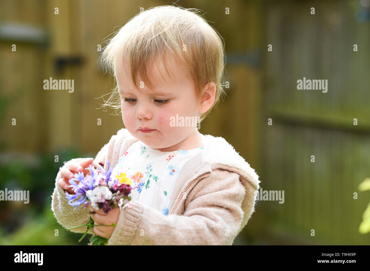 Jeune bébé fille de deux ans et demi de préparation de l'âge de fleurs  jardin de Gaulle Charles Photo Stock - Alamy