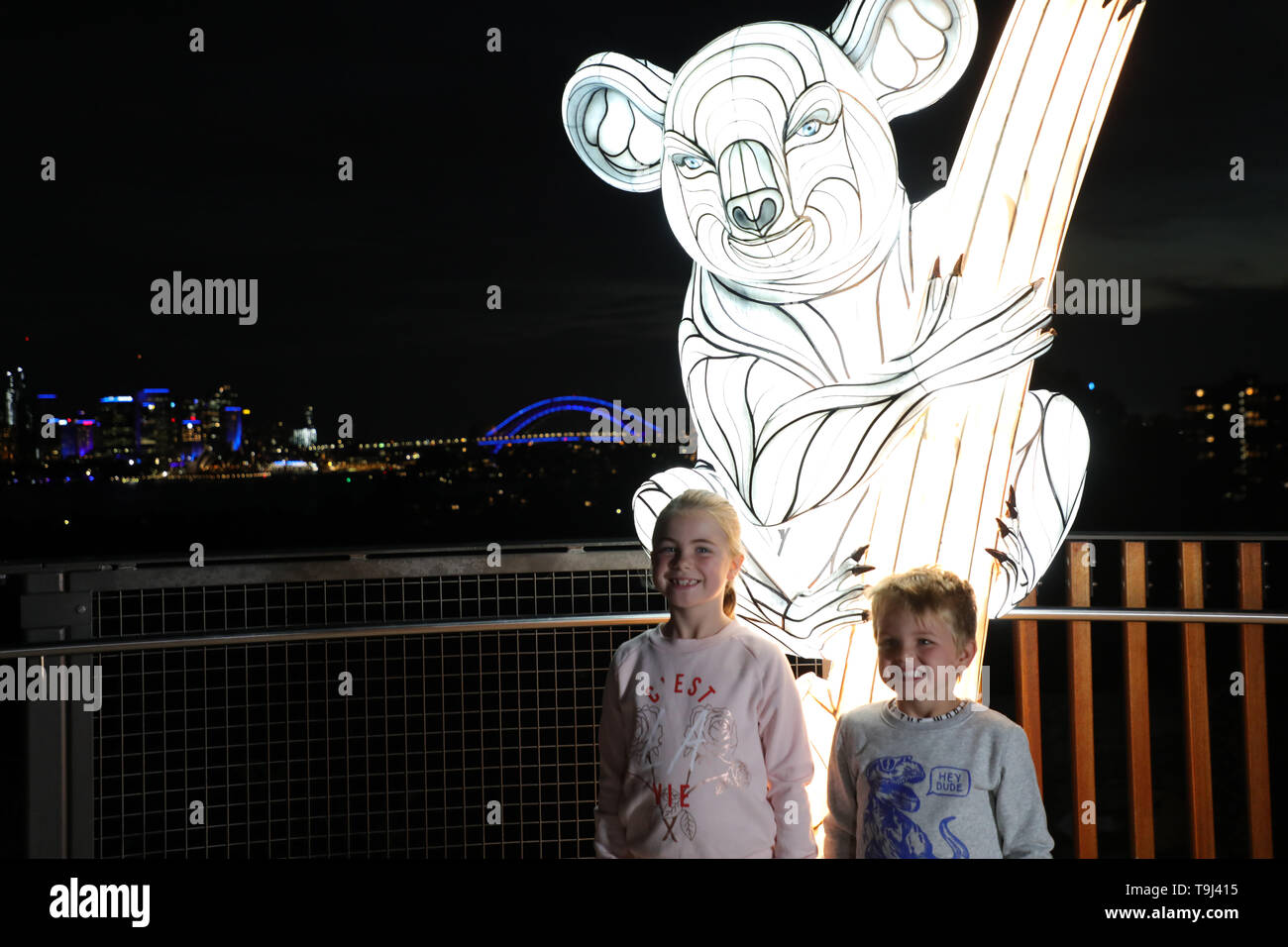 Sydney, Australie. 19 mai 2019. Sur la photo : koala. Vivid Sydney les plus sauvages du Zoo de Taronga cité s'allume avec des lumières pour la faune sauvage et à sensibiliser le public à des espèces critiques le zoo s'est engagé à protéger. Followan Sentier lumineux de près de 300 sculptures à la fine pointe de la lanterne interactive des espèces que le zoo s'est engagé à protéger. Rencontrez le magnifique tigre de Sumatra et ses magnifiques nouvelles des tigres, le toujours aimable koala, un essaim d'abeilles bourdonnant minuscule et nos plus grandes que nature, famille de gorilles - plus un ensemble cast Crédit : Richard Milnes/Alamy Live News Banque D'Images