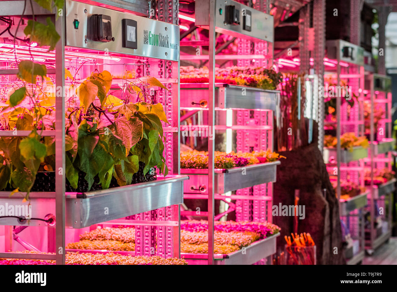 Londres, Royaume-Uni. 19 mai 2019. L'Ikea et Tom Dixon : Gardening permettra de sauver le monde, y compris les plantes hydroponiques - Appuyez sur preview journée à la RHS Chelsea Flower Show. Crédit : Guy Bell/Alamy Live News Banque D'Images
