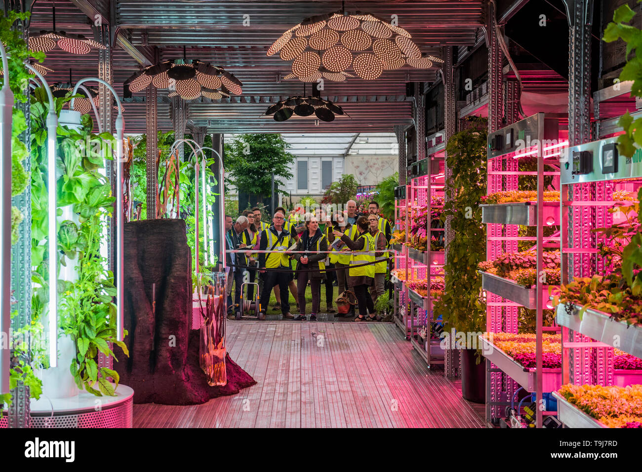 Londres, Royaume-Uni. 19 mai 2019. L'Ikea et Tom Dixon : Gardening permettra de sauver le monde, y compris les plantes hydroponiques - Appuyez sur preview journée à la RHS Chelsea Flower Show. Crédit : Guy Bell/Alamy Live News Banque D'Images