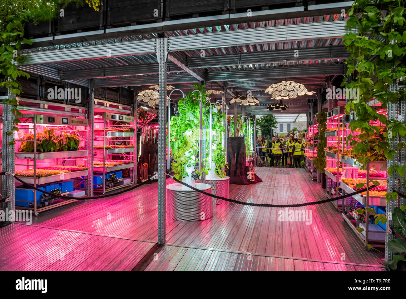 Londres, Royaume-Uni. 19 mai 2019. L'Ikea et Tom Dixon : Gardening permettra de sauver le monde, y compris les plantes hydroponiques - Appuyez sur preview journée à la RHS Chelsea Flower Show. Crédit : Guy Bell/Alamy Live News Banque D'Images