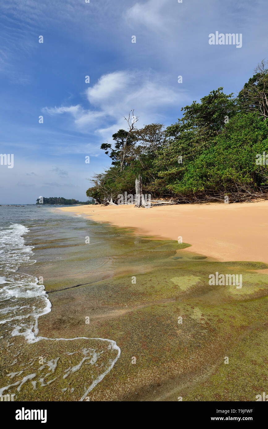 La plus belle, exotique Sitapur sur la plage à l'île d'Andaman de la Neil, France Banque D'Images