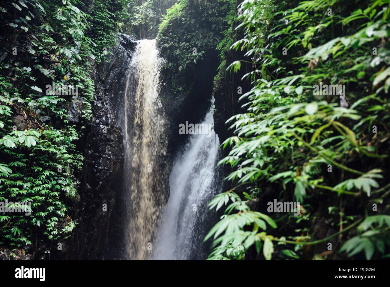 Détail de la cascade de Gitgit à Bali, Indonésie Banque D'Images
