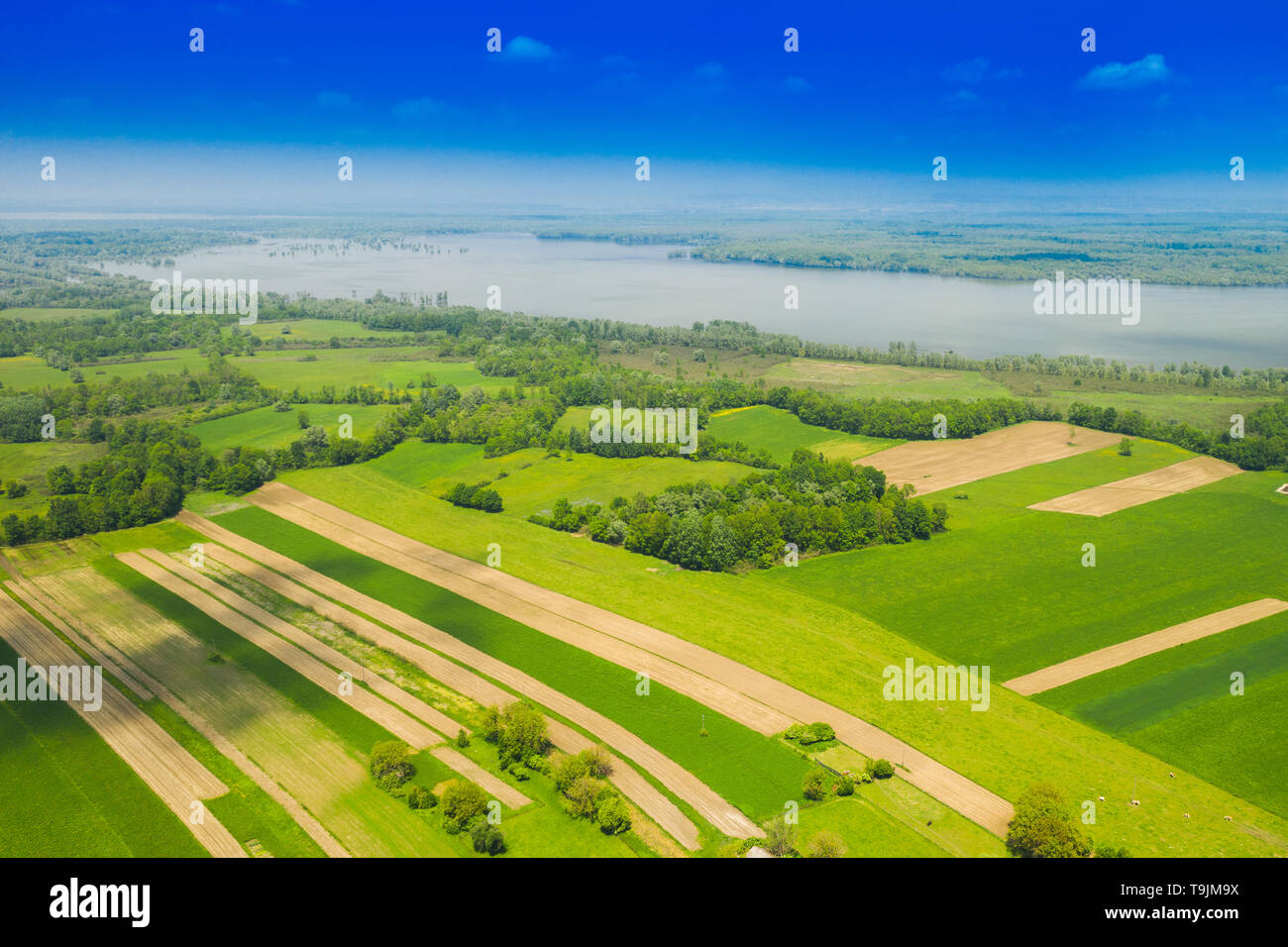 Une campagne magnifique paysage dans le Parc Naturel Lonjsko Polje, en Croatie, à partir de l'air, vue panoramique, de l'agriculture et les champs inondés au printemps Banque D'Images