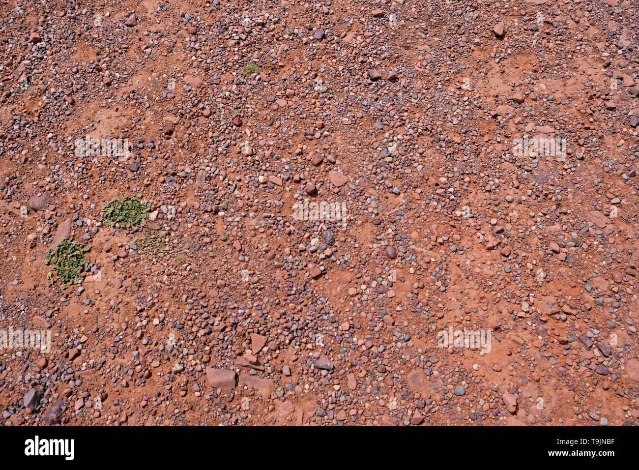 Sol de l'argile rouge et red rock, près de l'Atlas au Maroc Banque D'Images