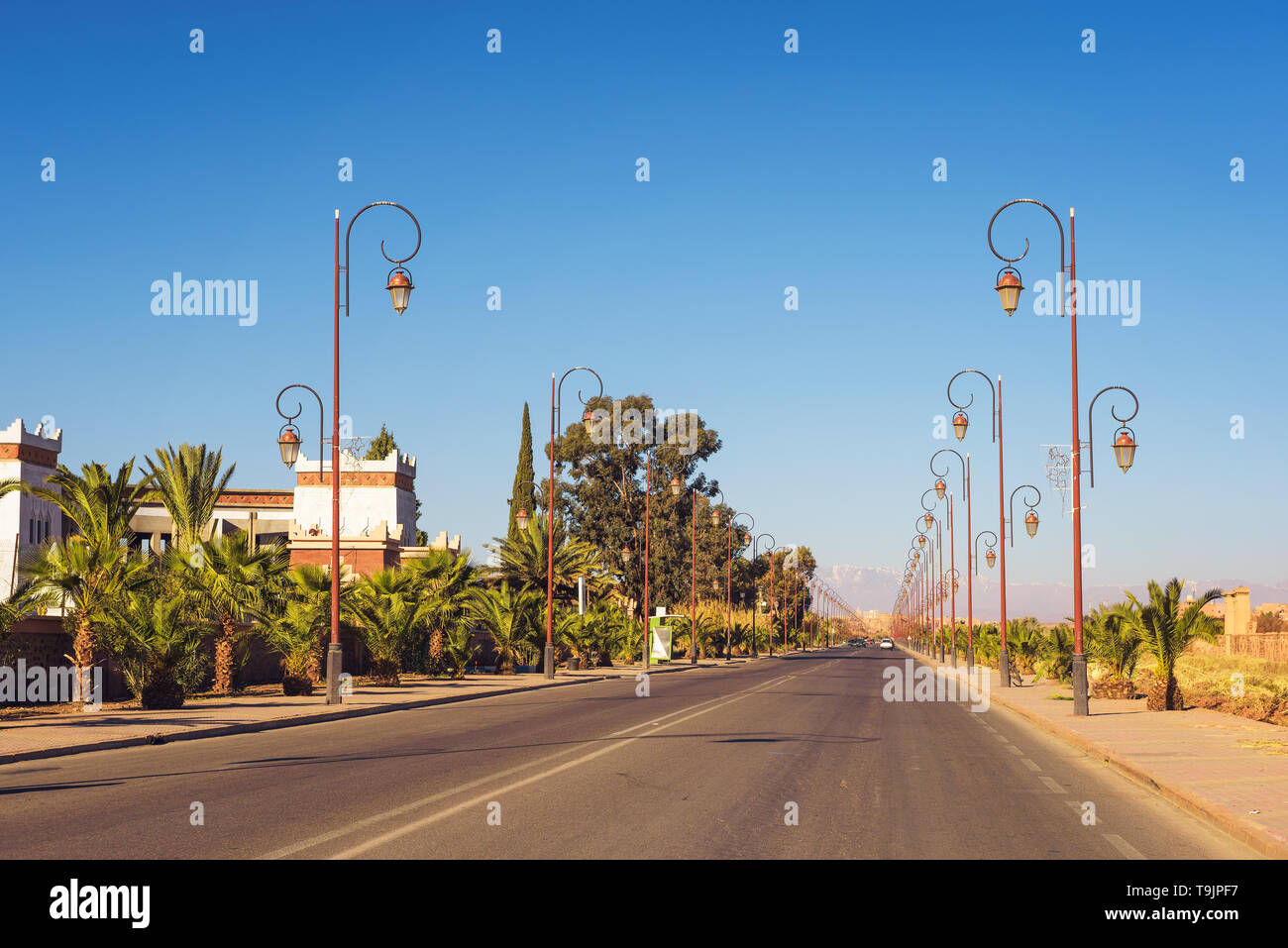Route avec rangée de lampadaires de style dans le centre de Ouarzazate, Maroc Banque D'Images