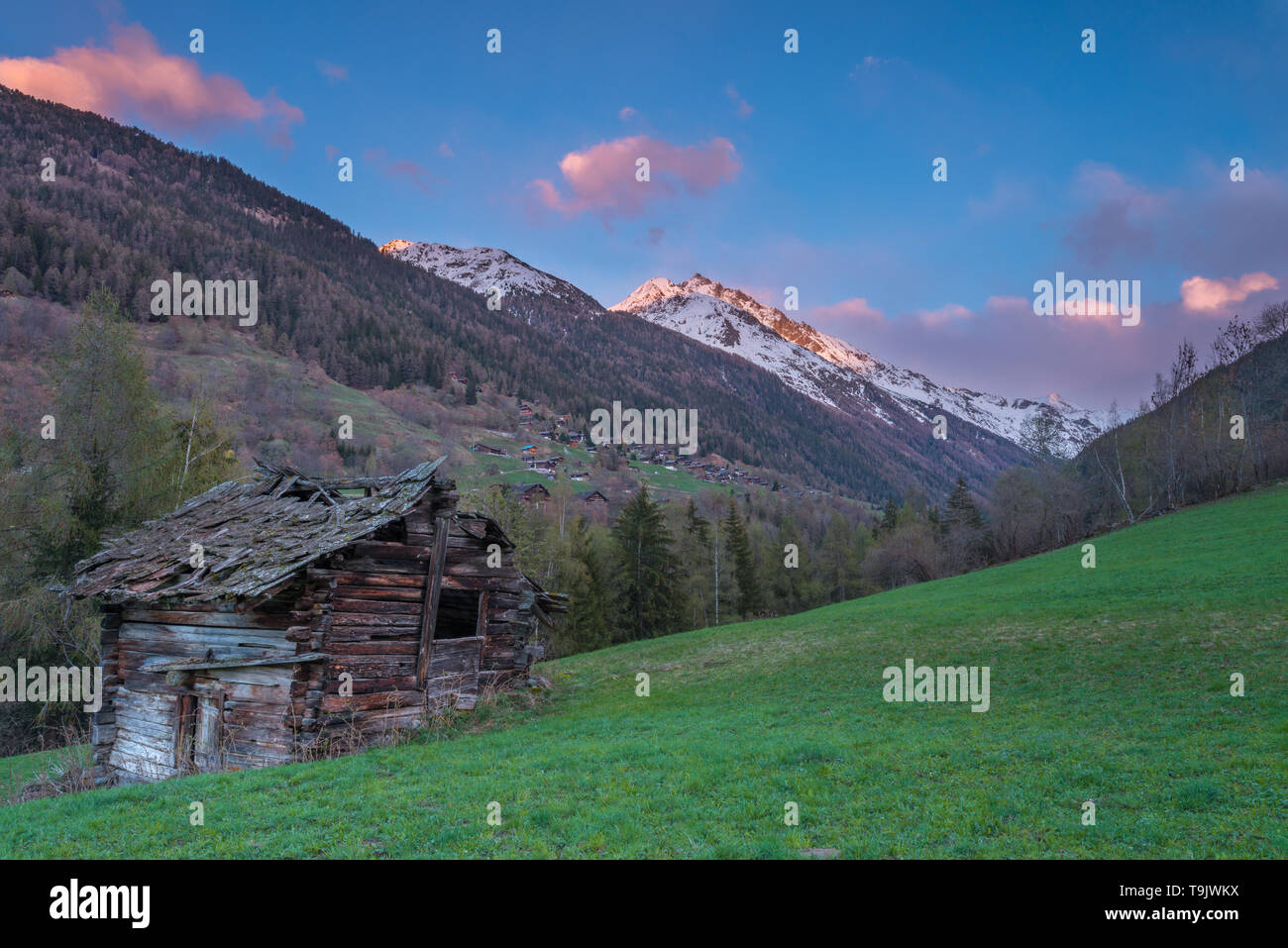 Vieux chalet en bois dans un pré herbeux au coucher du soleil. Ciel coloré et peint des montagnes, de pourriture cabin en Valais, Suisse. Banque D'Images