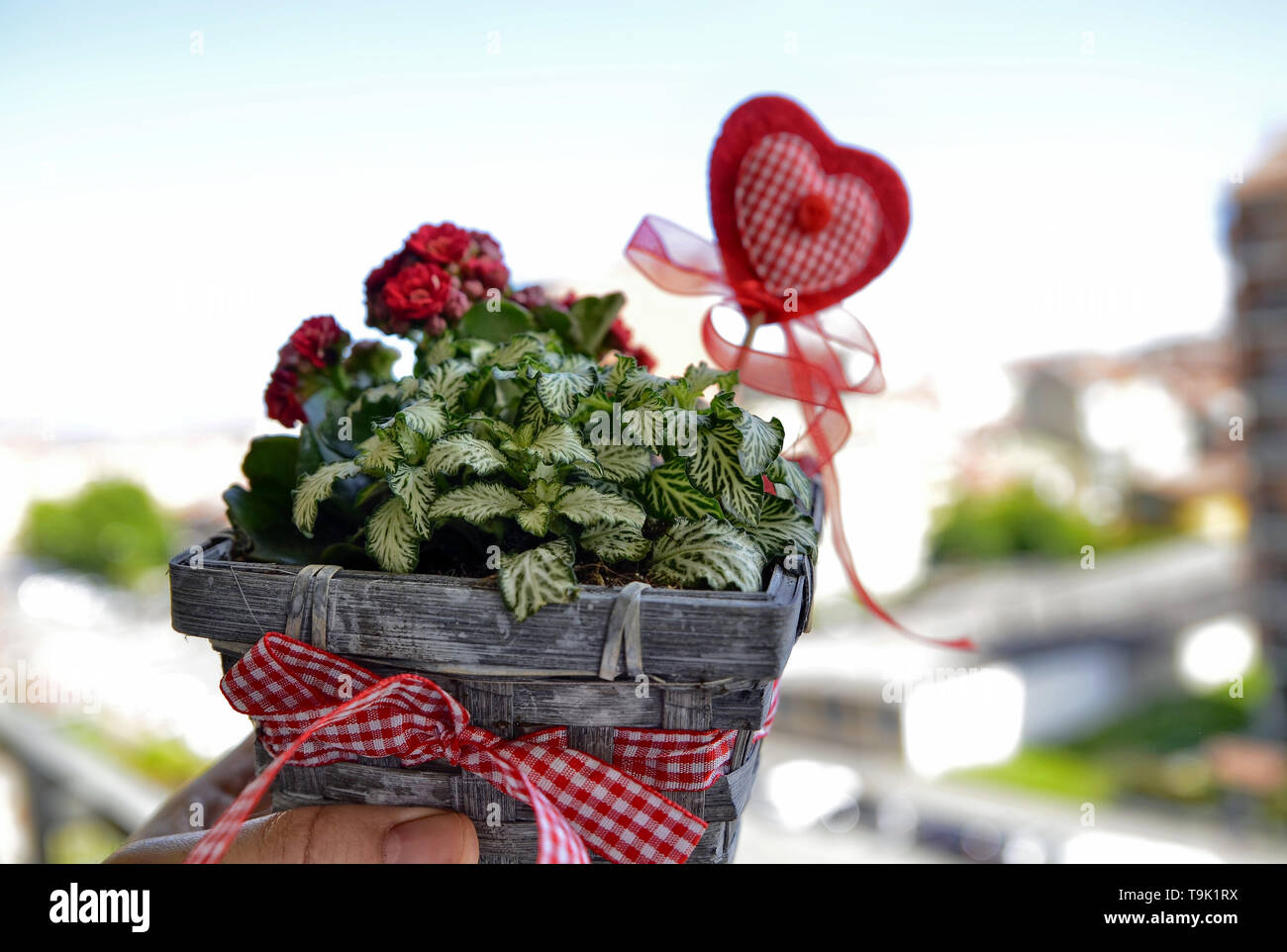 Tourne En Close Up Dans Une Petite Et Jolie Composition Florale Pour La Fete Des Meres Un Coeur De Tissu Et L Impression N Est Pas Sans Rappeler L Anniversaire Ba Gris Vase Photo Stock