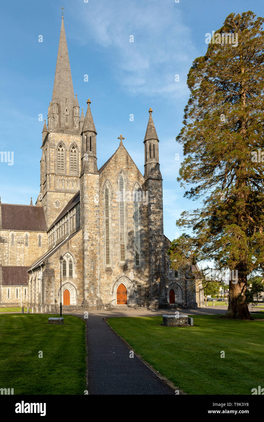 St. Cathédrale de Mary à Killarney, comté de Kerry, Irlande Banque D'Images