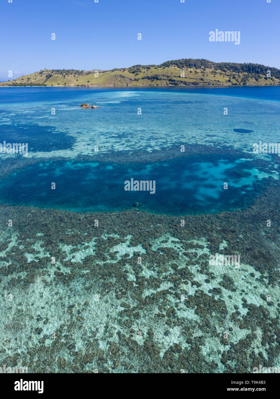 Vu d'une vue à vol d'oiseau, un cadre idyllique île tropicale est entourée d'un récif corallien sain dans le Parc National de Komodo, en Indonésie. Banque D'Images