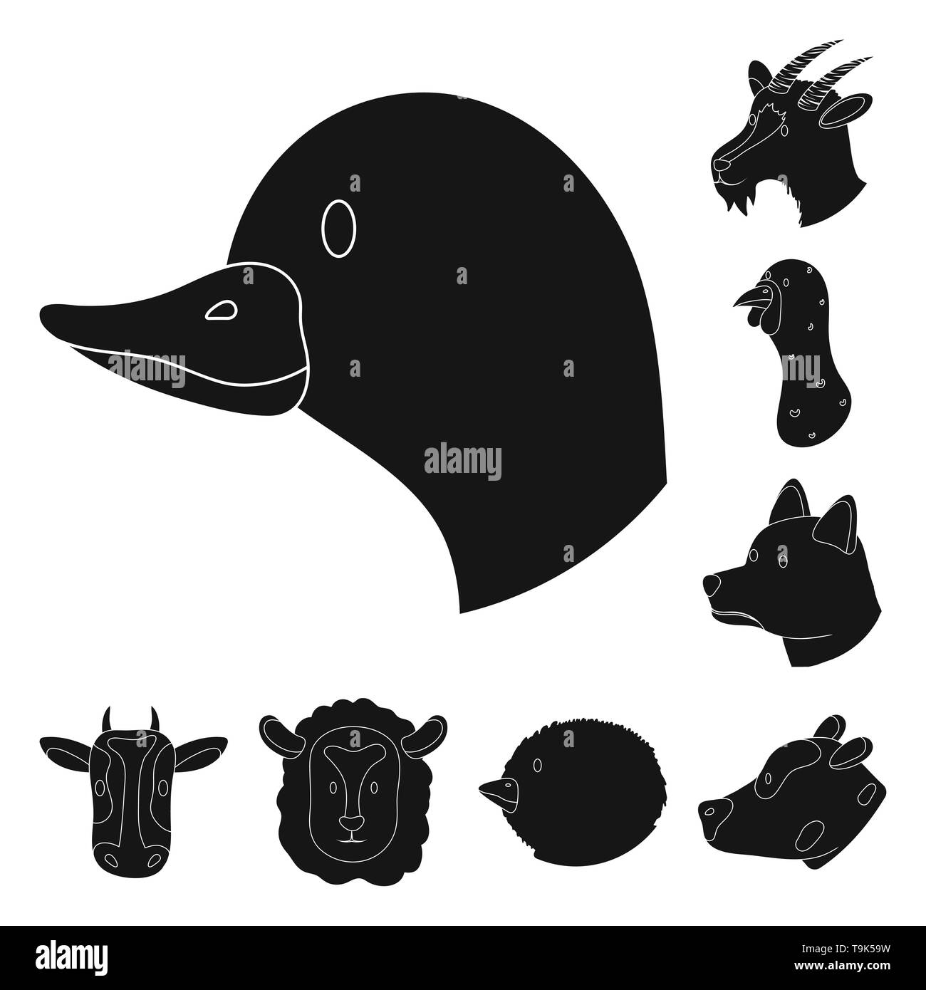 ,Vache,chien,âne poule poussin,chèvre,lapin,cochon,,face,vache,animal,Animaux,oiseaux,fromage,pâques,chiot,mignon,funny, poulet, porc, lait, oeufs,gris,viande,lapin,race,bovins,mule ranch,biologique,ferme,tête,maison,campagne,ferme,agriculture,reproduction,,set,icône,,illustration,collection,isolé,design,graphisme,élément,signer,Black,de simples vecteurs vecteur , Illustration de Vecteur