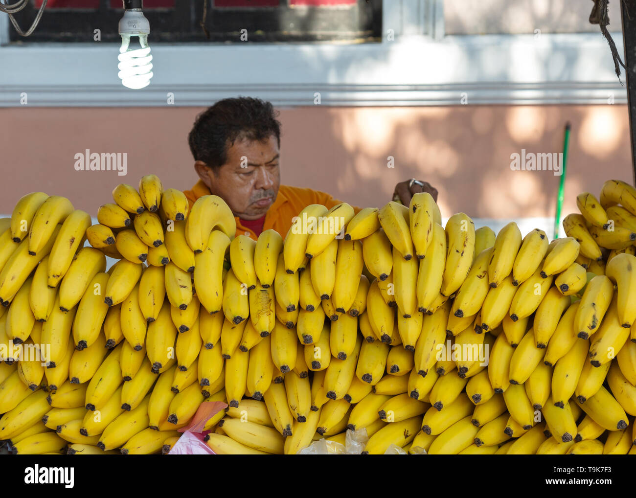 Les bananes en vente sur un étal du marché, et le vendeur du marché, marché alimentaire Merida Merida, Yucatan, Mexique Amérique Latine Banque D'Images