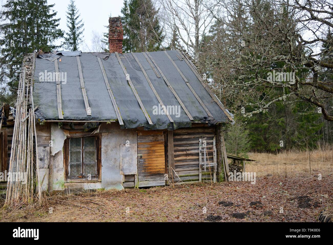 Chalet à l'abandon, abandonnés, Muraka forêt, l'Estonie, avril 2018. Banque D'Images