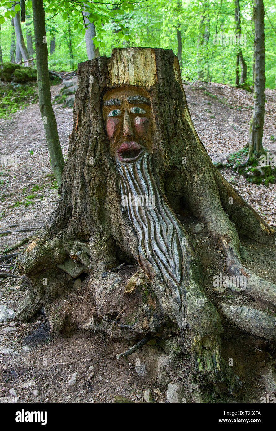 Visage sculpté dans une souche d'arbre, Steckeschlääfer-Klamm, Binger forêt, Bingen sur le Rhin, Rhénanie-Palatinat, Allemagne Banque D'Images