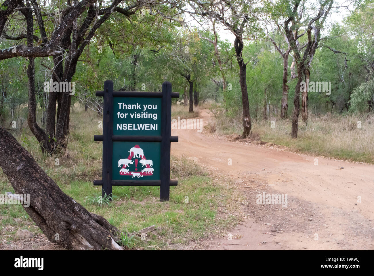 Hluhluwe, Afrique du Sud - 14 mai 2019 : Entrée signe à l'Nselweni non clôturées Bush Camp avertissement d'animaux sauvages dangereux dans le camp - Hluhluwe-iMfloloz Banque D'Images