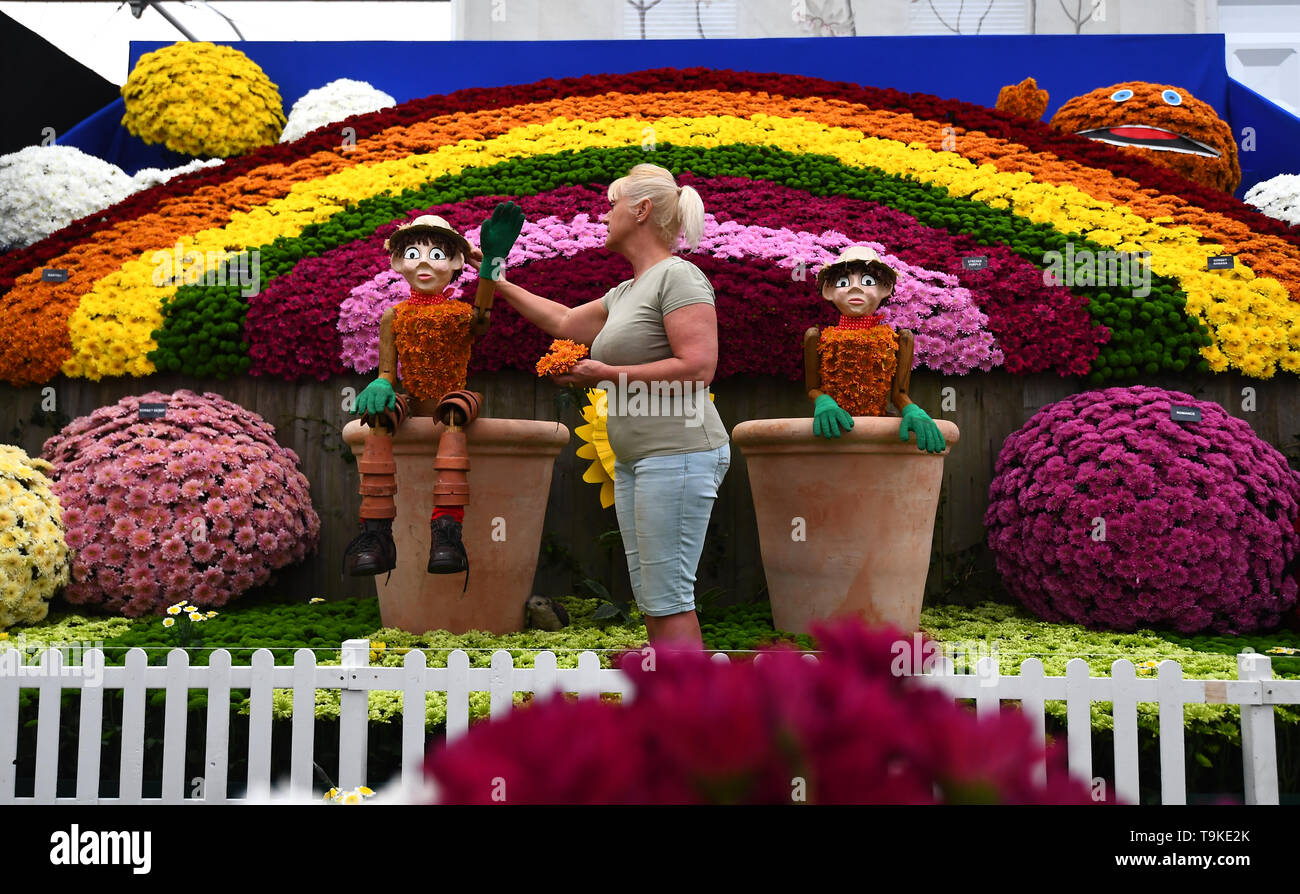 Touches de finition sont appliqués à l'enfance de l'affichage des mémoires de la Société nationale de chrysanthème jardin pendant les préparatifs de la RHS Chelsea Flower Show au Royal Hospital Chelsea, Londres. Banque D'Images