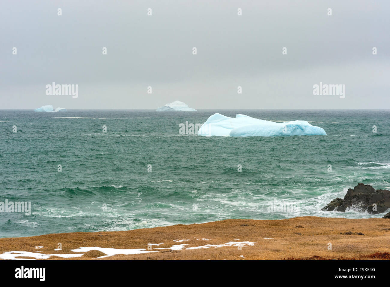 Trois ice bergs Banque D'Images