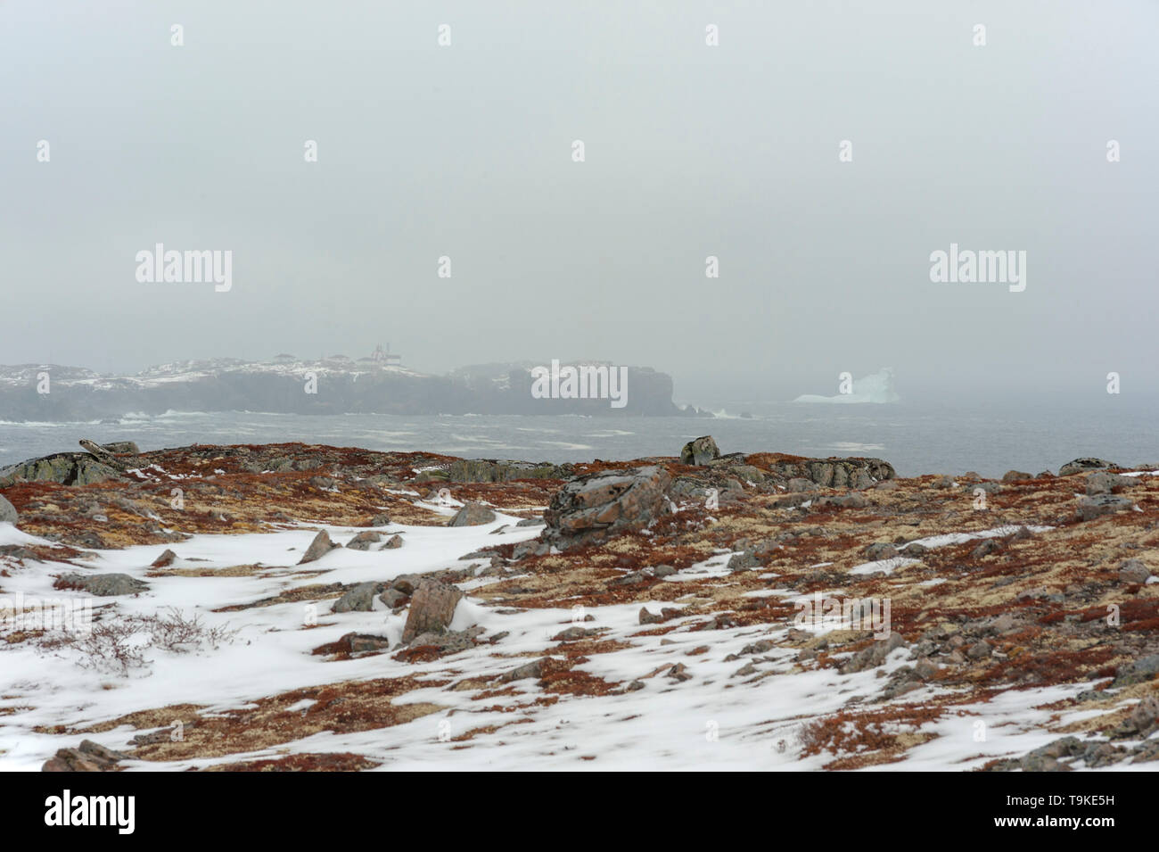 Ice berg et phare dans le brouillard Banque D'Images