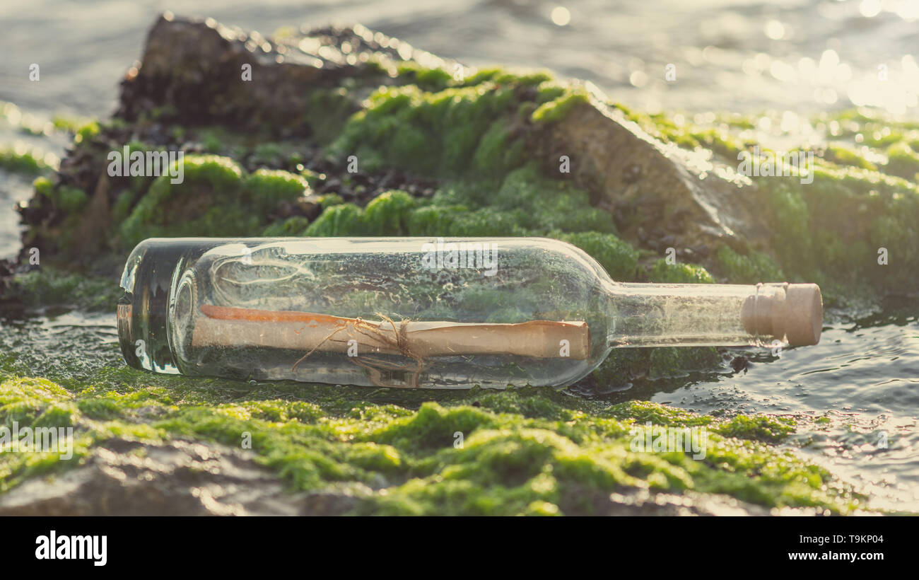 Message en bouteille sur une pierre recouverte d'algues Banque D'Images