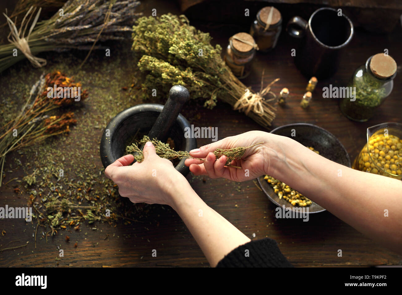La médecine alternative, les méthodes de traitement à base de plantes naturelles Banque D'Images