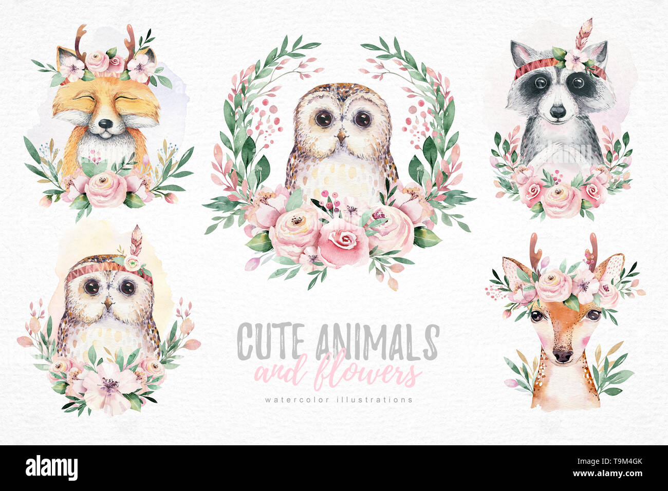 Ensemble De Dessins A L Aquarelle Foret Isole Mignon Bebe Renard Chevreuil Raton Laveur Et Owl Animal Avec Des Fleurs Illustration Forestiers En Pepiniere Boho Boheme Photo Stock Alamy