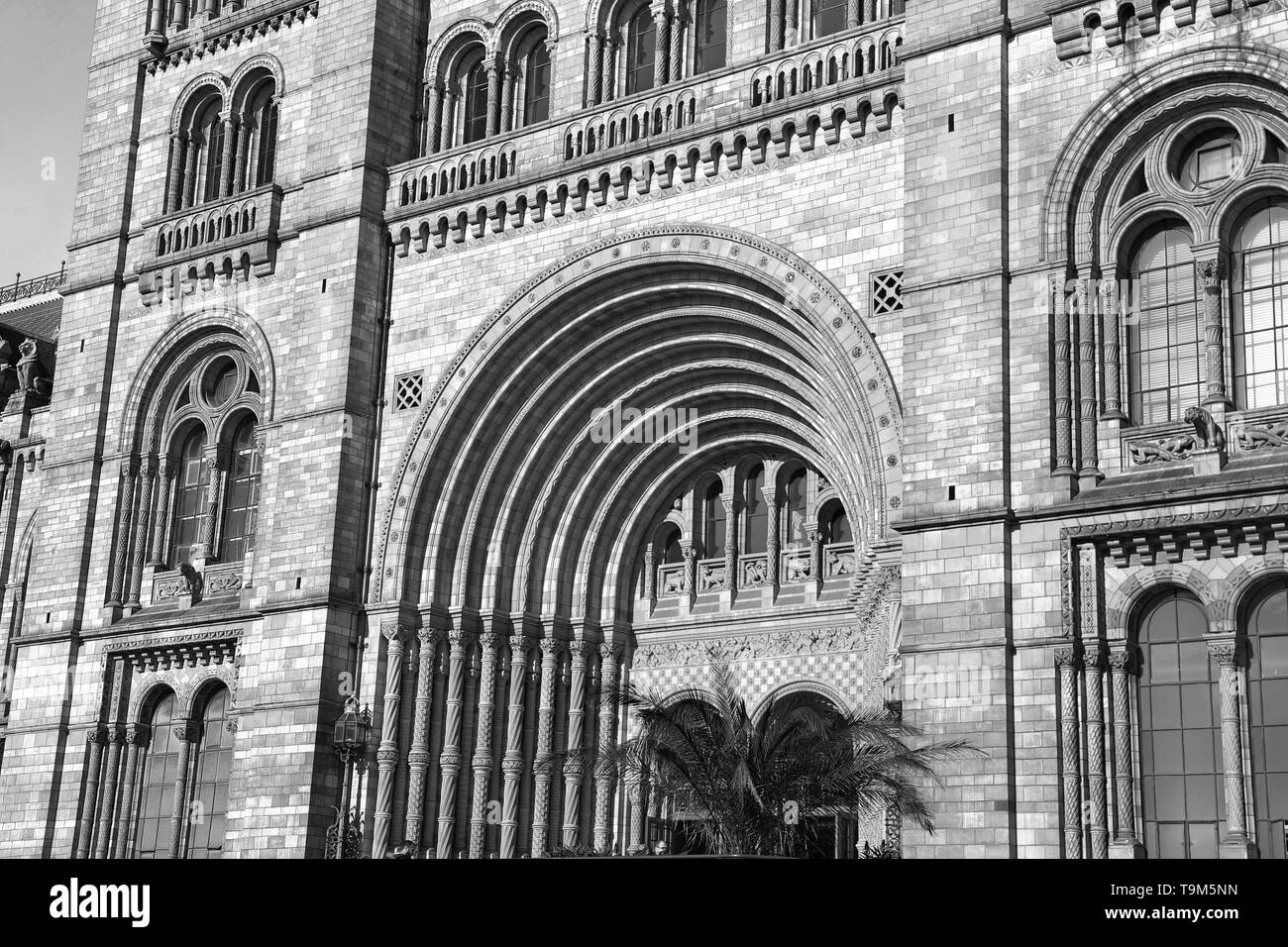 La photographie noir et blanc de la Natural History Museum de Londres, Royaume-Uni Banque D'Images