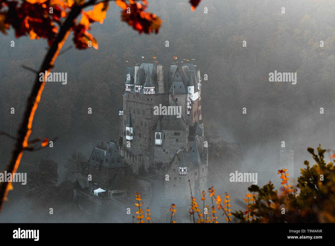 / Burg Eltz Château Eltz pendant le coucher du soleil sur un jour d'automne brumeux avec des arbres et des feuilles avant-plan et le brouillard roulant à travers la vallée (Wierschem, Allemagne) Banque D'Images