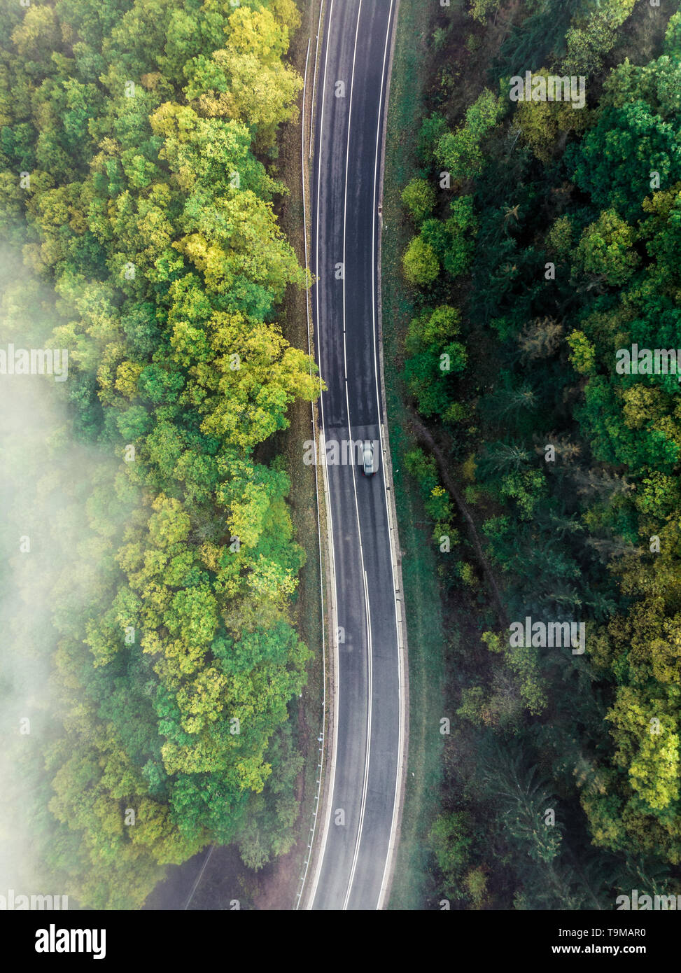 Vue aérienne d'une route de montagne couvertes dans le brouillard à l'intérieur d'un jardin luxuriant et une voiture conduite forrest comme repéré par le haut avec un bourdon (Allemagne, Europe) Banque D'Images