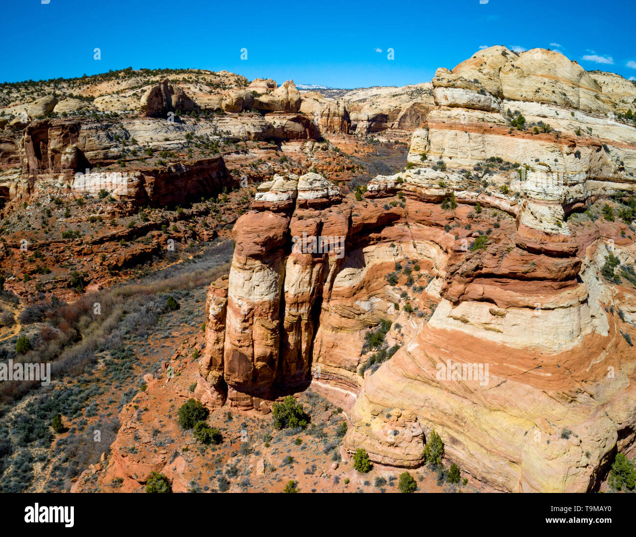 Des couches de roches de couleur le long des murs d'un canyon désert de l'Utah Banque D'Images