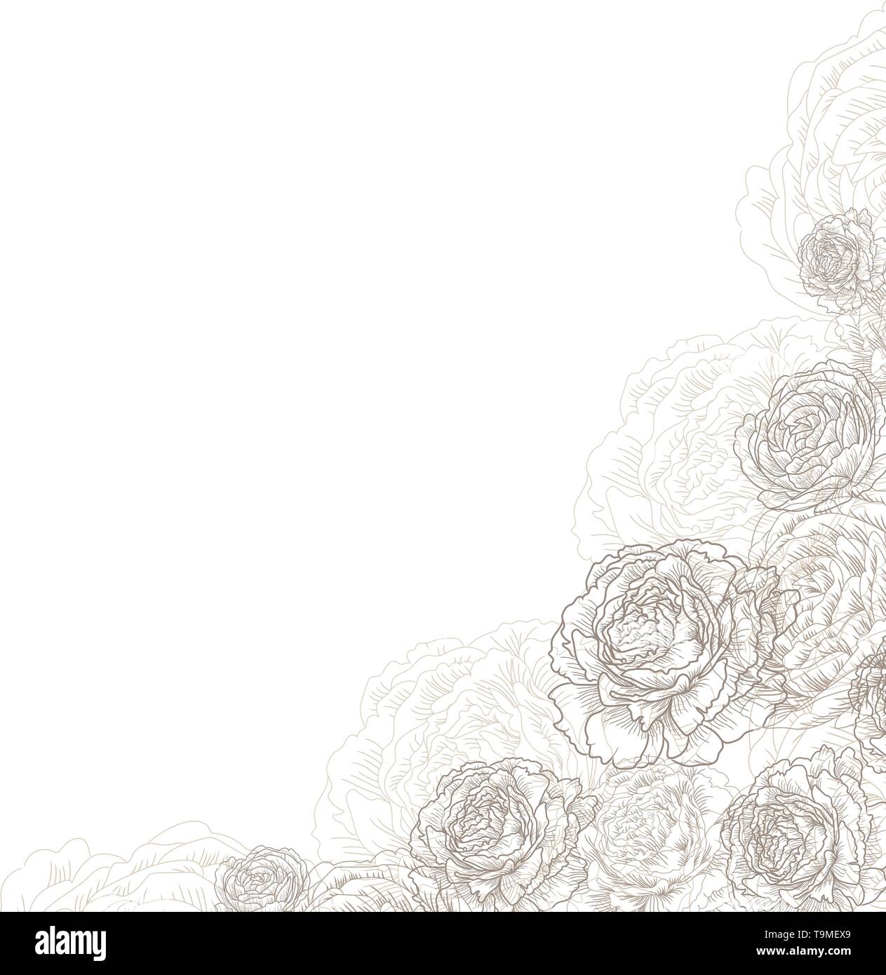 Coin décoratif cadre avec des fleurs, roses, pivoines. Modèle élégant et élégant pour le texte. Dessin d'illustration vectorielle. Illustration de Vecteur Coin décoratif cadre avec des fleurs, roses, pivoines. Modèle élégant et élégant pour le texte. Dessin d'illustration vectorielle. Illustration de Vecteur
