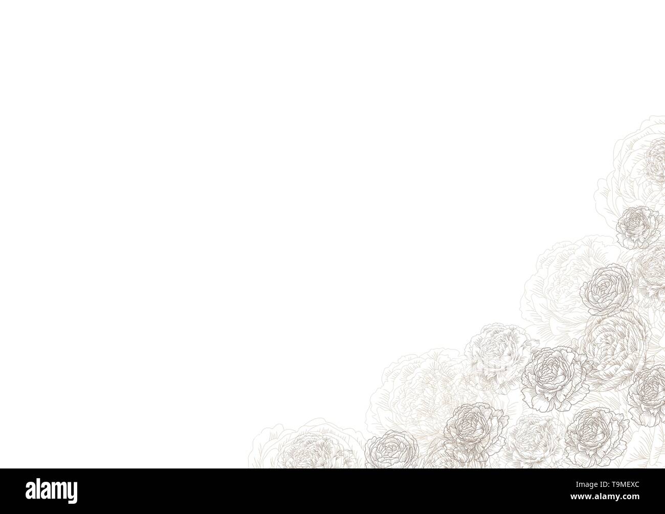 Coin décoratif cadre avec des fleurs, roses, pivoines. Modèle élégant et élégant pour le texte. Dessin d'illustration vectorielle. Illustration de Vecteur Coin décoratif cadre avec des fleurs, roses, pivoines. Modèle élégant et élégant pour le texte. Dessin d'illustration vectorielle. Illustration de Vecteur