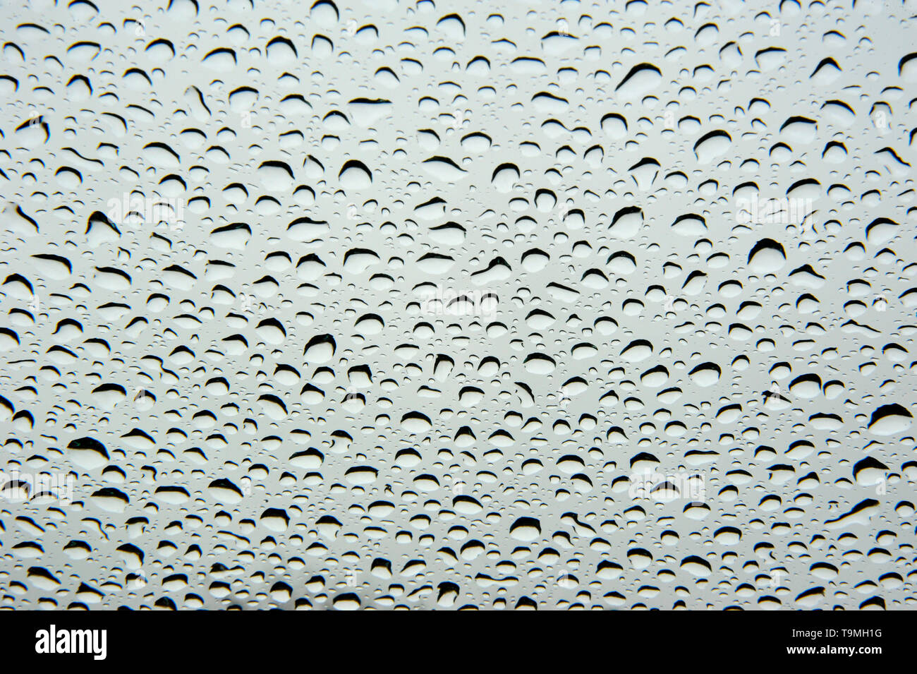 Schéma des gouttes de pluie sur un pare-brise de voiture Banque D'Images