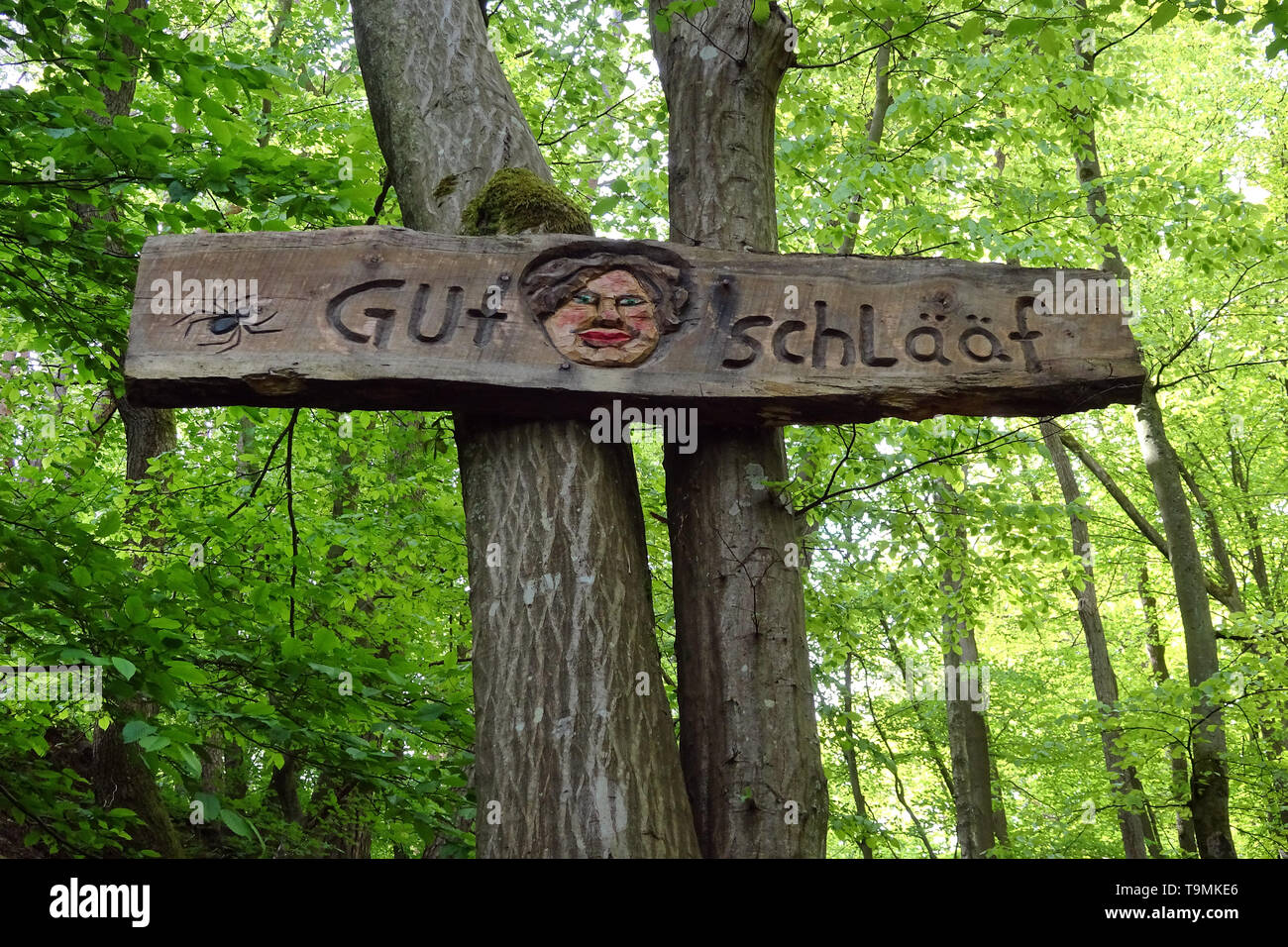 Dire "gut" Schlääf (signifie 'bon shuffle') au sentier randonneur, Steckeschlääfer-Klamm Binger forêt, Bingen sur le Rhin, Rhénanie-Palatinat, Allemand Banque D'Images