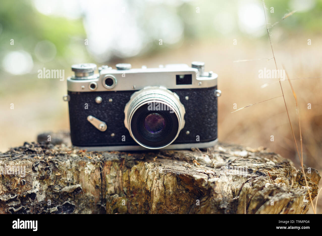 Ancien appareil photo analogique l'appareil photo se trouve sur un moignon. Arrière-plan de la nature. Banque D'Images