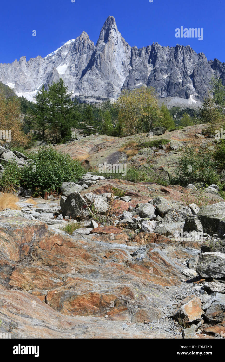 Bloc erratique. Les Drus (3754 m). Le Petit Dru (3,730 m) et le grand Dru (3,754 m). Chamonix. Haute-Savoie. La France. Banque D'Images