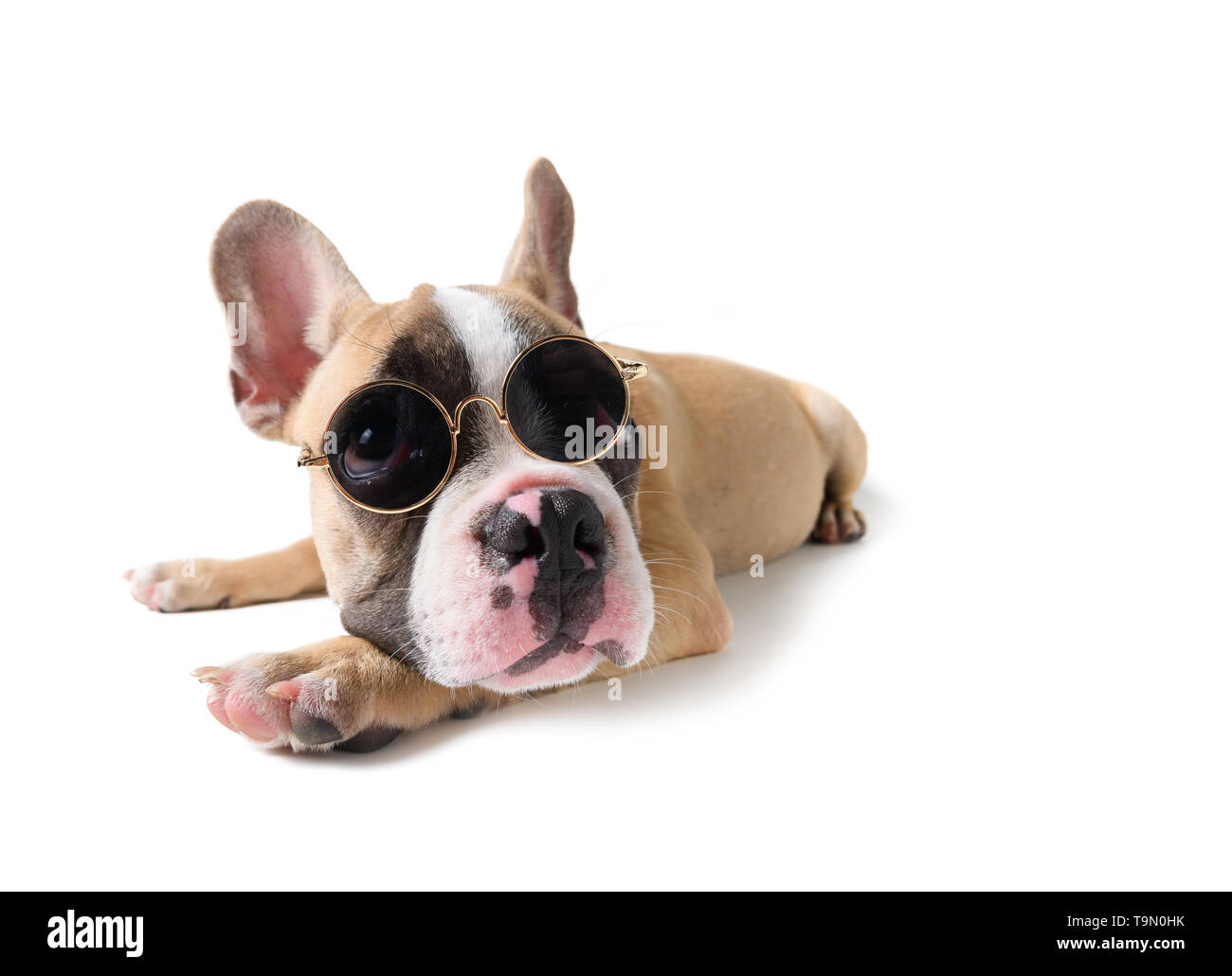 Mignon bouledogue français porter des verres fumés isolé sur fond blanc, concept d'été Banque D'Images