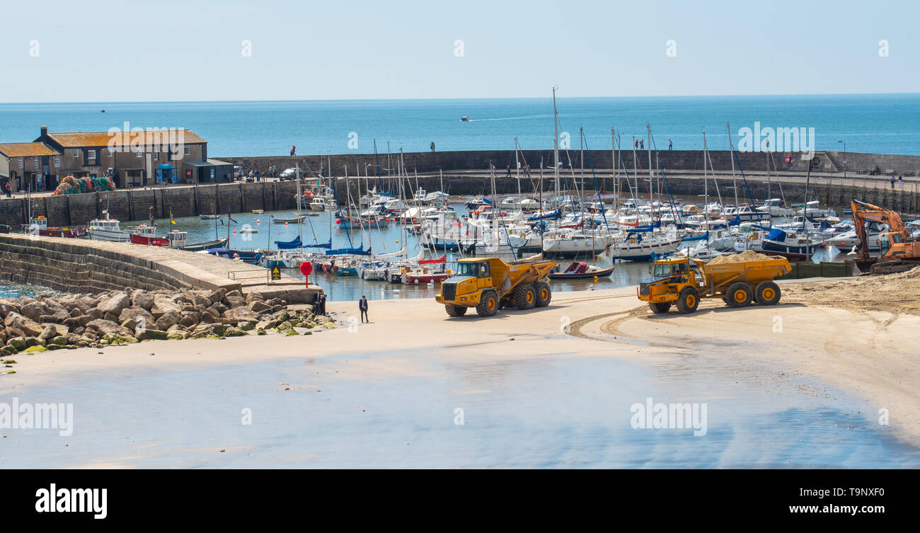 Lyme Regis, dans le Dorset, UK. 20 mai 2019. Météo France : une belle journée chaude et ensoleillée à Lyme Regis. Les véhicules de l'usine a frappé la plage populaire à Lyme Regis à sable replinish perdues au fil des mois d'hiver avant les vacances de banque et la moitié des vacances à long terme. Le sable est remplacé sur la populaire plage avant la saison touristique débute chaque année afin que les visiteurs puissent continuer à profiter de la jolie plage tout au long de l'été saison touristique. Credit : Celia McMahon/Alamy Live News. Banque D'Images