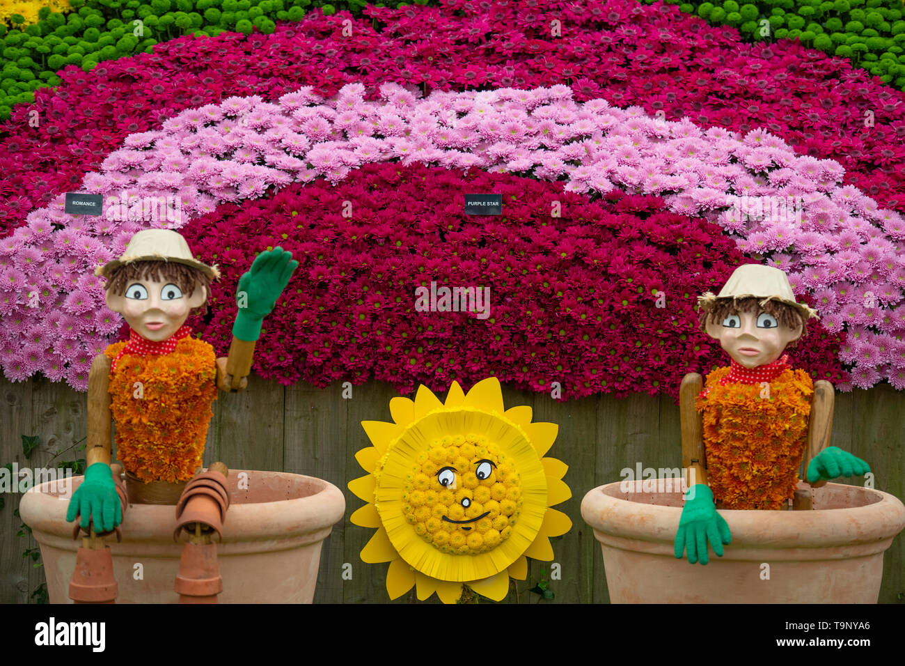 Royal Hospital Chelsea, London, UK. 20 mai 2019. Chelsea Flower Show 2019 Appuyez sur Jour. Flowerpot men affichage floral coloré dans le Grand Pavillon. Credit : Malcolm Park/Alamy Live News. Banque D'Images