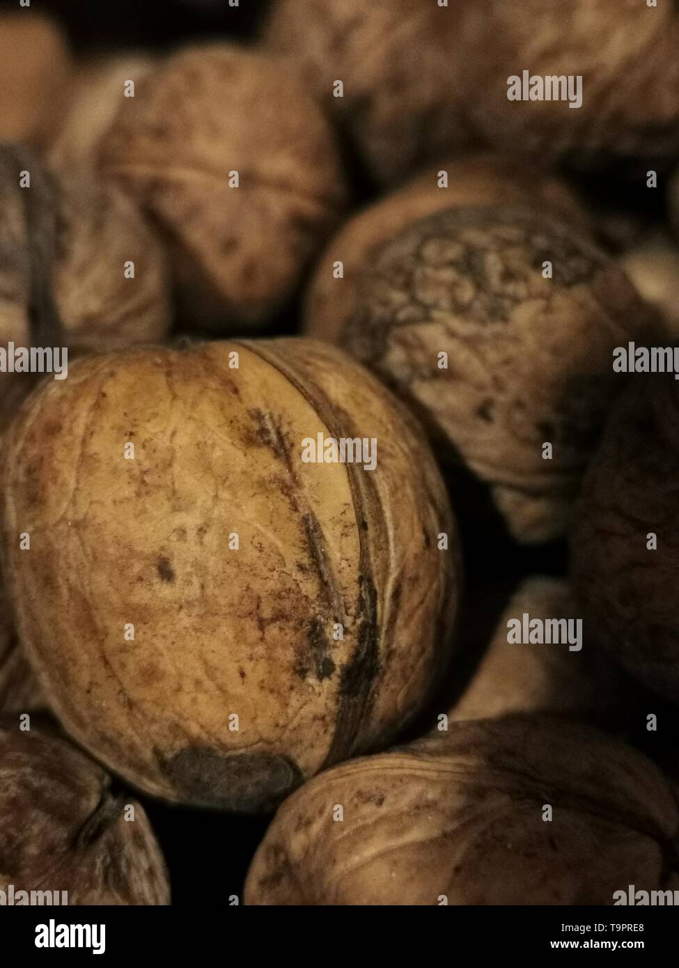 Les noix, groupe de noix - la photo en gros plan d'une alimentation saine Banque D'Images