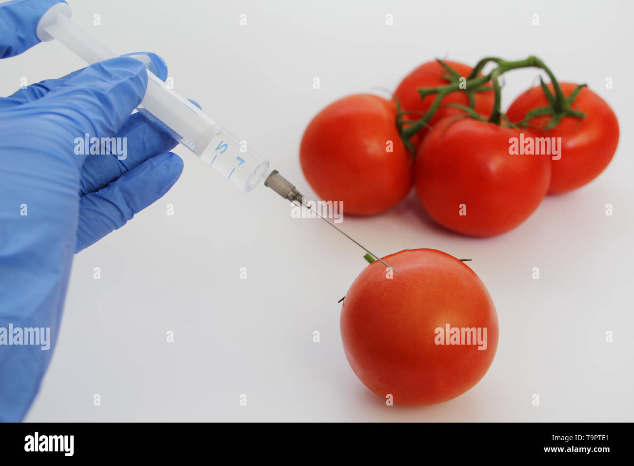 Seringue et les tomates. Spécialiste de l'OGM injecte le liquide d'une seringue dans une tomate rouge. Concept nutritionnel génétiquement modifiés. Banque D'Images