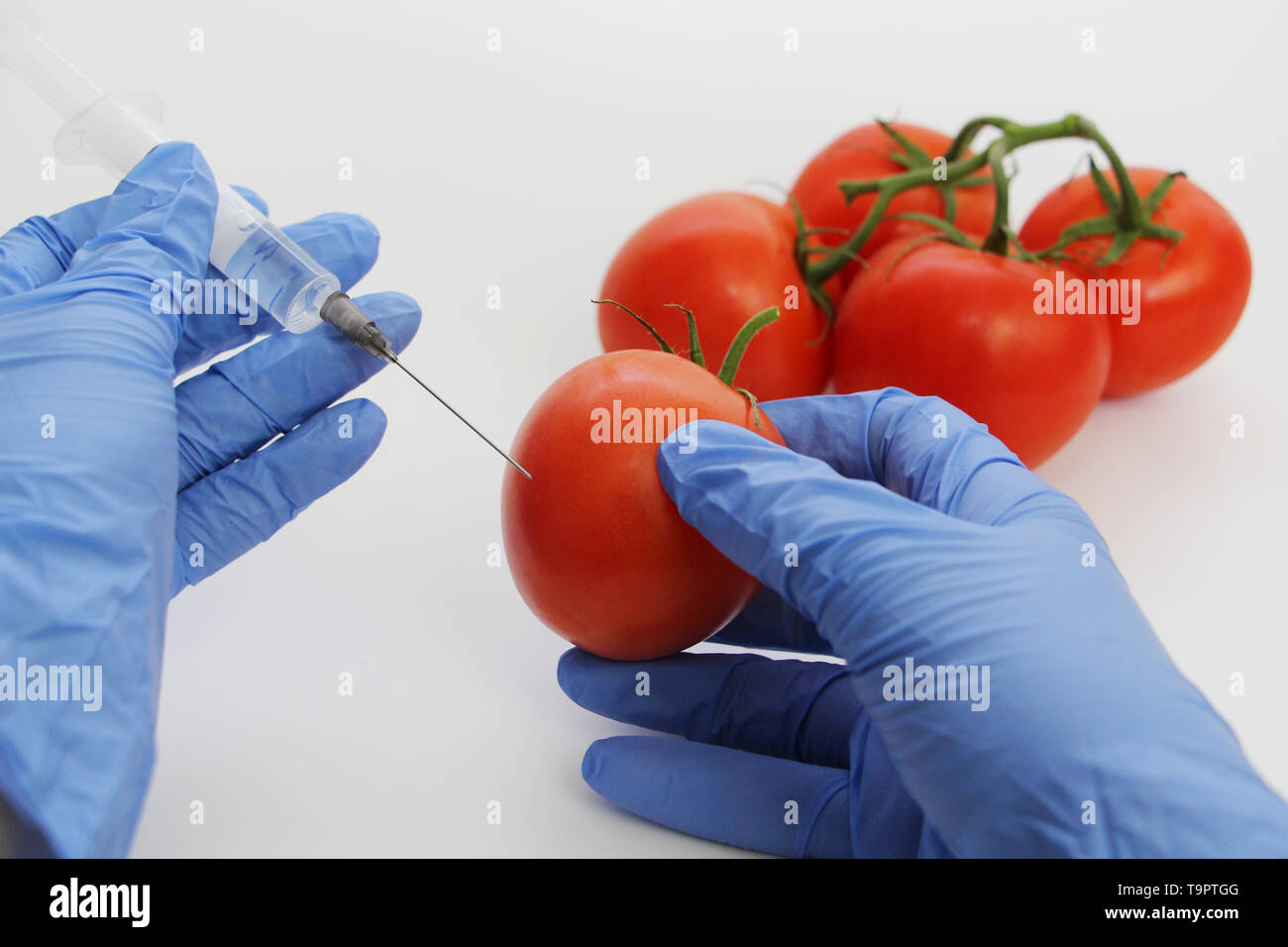 Seringue et les tomates. Spécialiste de l'OGM injecte le liquide d'une seringue dans une tomate rouge. Concept nutritionnel génétiquement modifiés. Banque D'Images