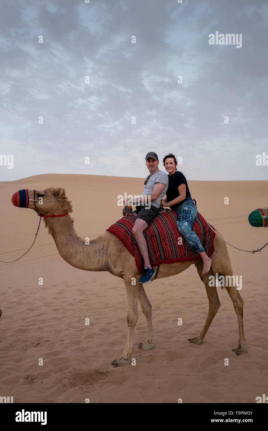 Les touristes randonnée chamelière sur un safari dans le désert à Abu Dhabi, Émirats Arabes Unis Banque D'Images