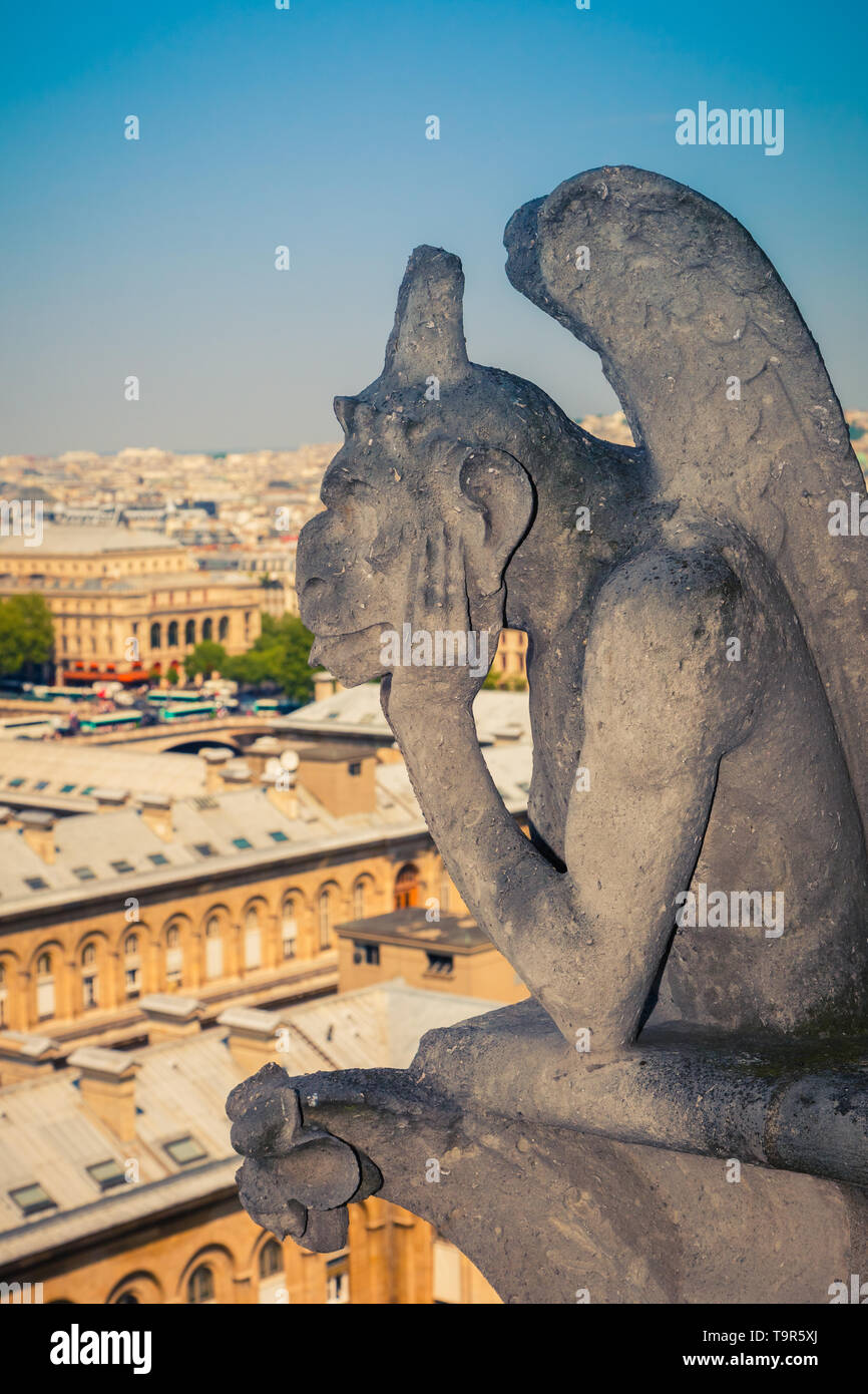 Gargouille sur la cathédrale Notre Dame, Paris Banque D'Images