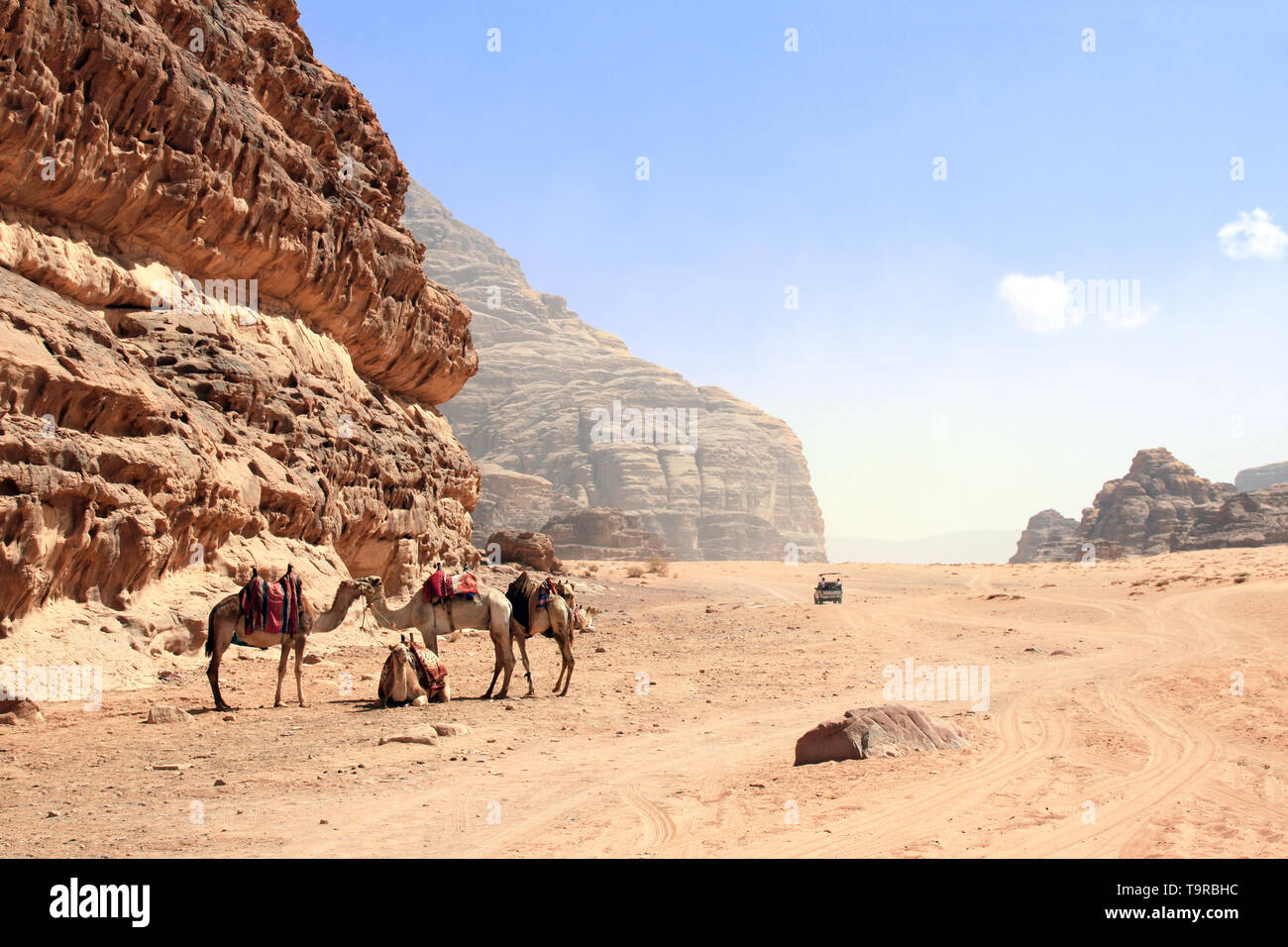 Location de safari dans le désert de Wadi Rum, Jordanie. Les chameaux et les touristes dans la voiture en dehors de la route sur le sable entre les rochers Banque D'Images