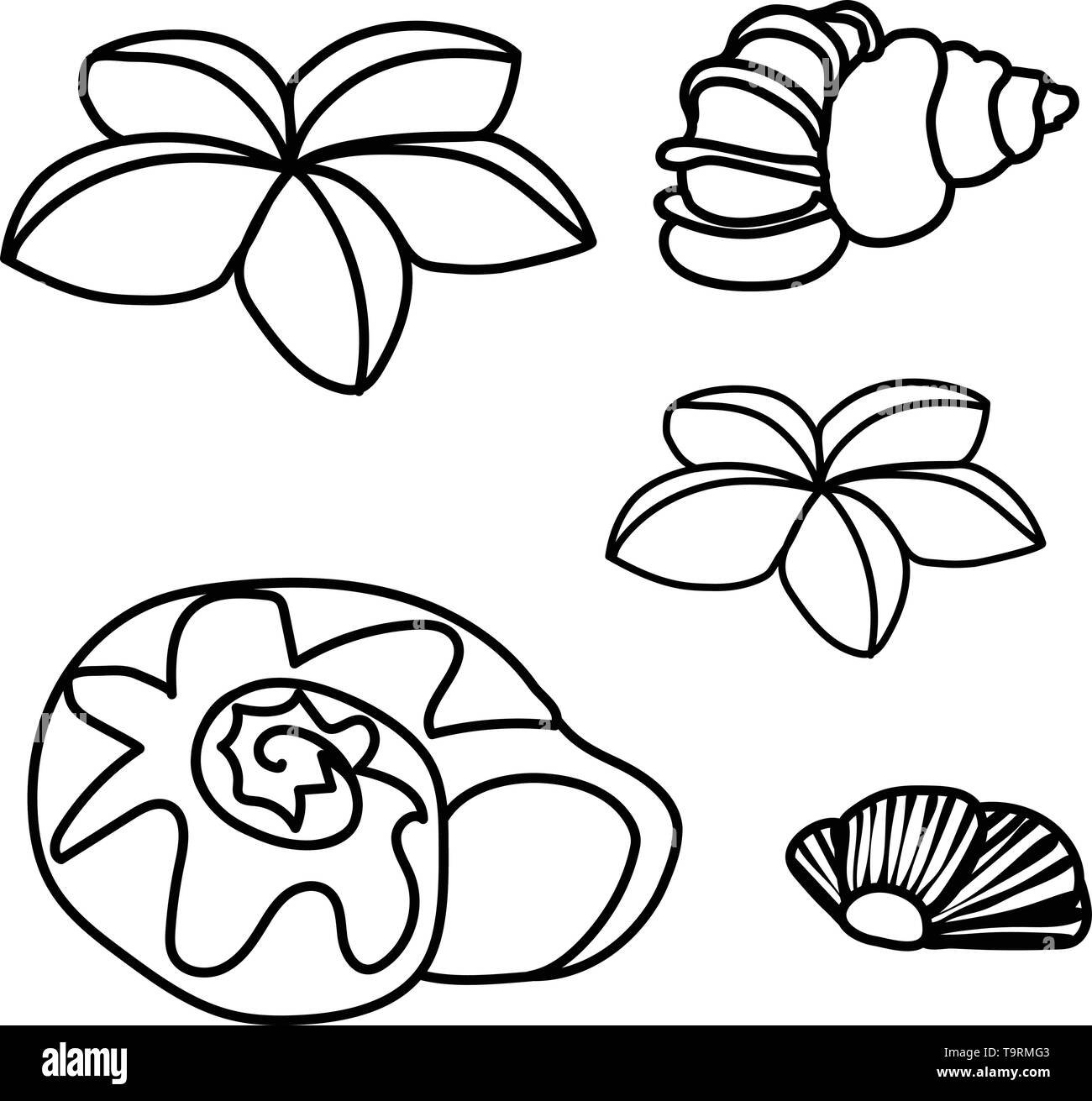 Ligne vector cartoon animal clip art seashell, étoiles Illustration de Vecteur