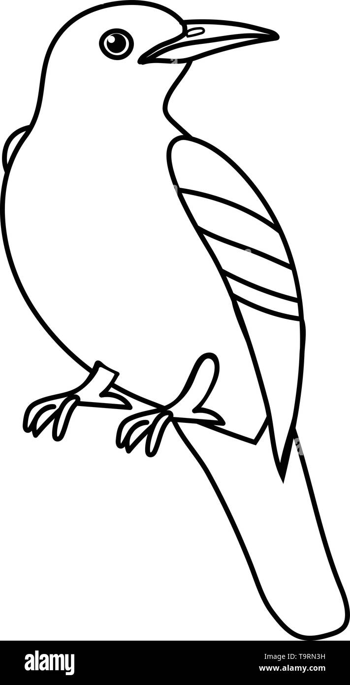 Ligne vector cartoon animal oiseau iora clip art Illustration de Vecteur