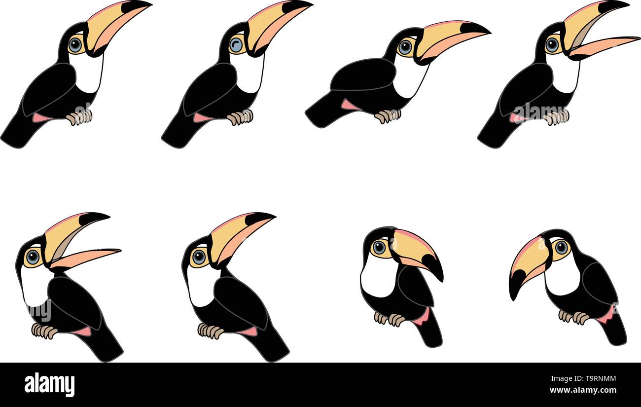 Scandi vector cartoon animal clip art toucans toco Illustration de Vecteur