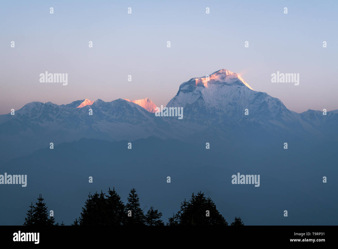 Lever de soleil sur l'Himalaya. Mont Dhaulagiri vue depuis la colline de Poon. Le Népal. Banque D'Images